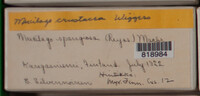 Image Associated With the Occurence